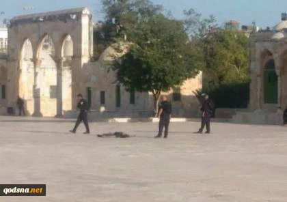 ردود الفعل الاسرائيلية على عملية القدس

نتنياهو يقرر اغلاق المسجد الاقصى
 2