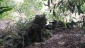 Quds Brigades' snipers turning into nightmare for Israeli amry