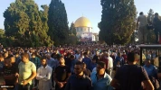Palestinians perform Eid al-Adha prayers in Gaza, WB 13