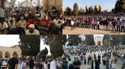 Palestinians perform Eid al-Adha prayers in Gaza, WB 14