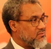 Africa does not need a modern colonial master
 2