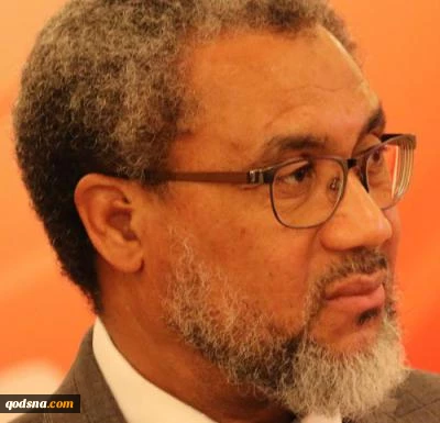 Africa does not need a modern colonial master
 2