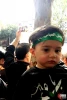 Funeral of Martyr Hojaji held in Tehran 4