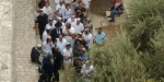 343 متطرف يقتحمون باحات الاقصى المبارك تحت حراسة مشددة من الاحتلال 2