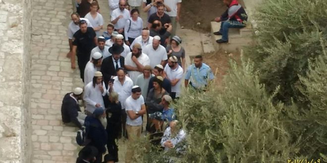 343 متطرف يقتحمون باحات الاقصى المبارك تحت حراسة مشددة من الاحتلال 2