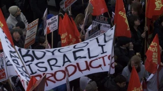 UK artists slam Australian singer for playing in Israel