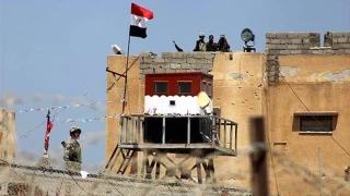 تحلیلگر مطرح عرب بررسی کرد:

ابعاد جنگ اسرائیل علیه مصر و وظیفه محور مقاومت/اسناد حمایت اسرائیل از داعش در سیناء/چرا اسرائیل از داعش در سیناء حمایت می‌کند/ماموریت مهم حماس چیست؟