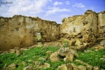 نبض زندگی در جنین 4