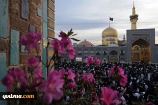 رهبر معظم انقلاب در اجتماع بزرگ حرم مطهر رضوی:

امریکا با به‌وجود آوردن داعش، به دنبال آن بود که ذهن ملتهای منطقه را از رژیم صهیونیستی دور کند 2