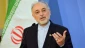 صالحی ضمن معرفی دستاوردهای جدید در مراسم روز ملی فناوری هسته‌ای:

دیوار بی اعتمادی در بدعهدی برخی از طرف ها در برجام همچنان پابرجاست