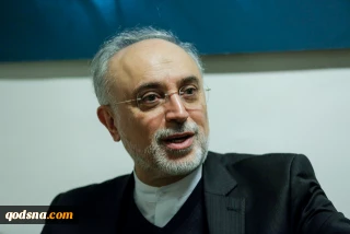 صالحی در برنامه گفت‌وگوی ویژه خبری:

برخی کشورهای حاشیه خلیج فارس باتری می‌خرند نه نیروگاه هسته‌ای