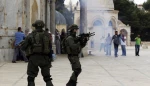 القدس: اعتقالات وقرابين واقتحامات يومية للأقصى 2