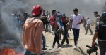 يرفعا شهداء مسيرات العودة لـ114

شهيدان متأثران بإصابتهما برصاص الاحتلال خلال مليونية العودة

 2