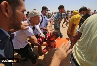 منابع فلسطینی و صهیوینستی اعلام کردند:

شهادت 4 فلسطینی و مجروحیت 525 نفر دیگر/آتش سوزی گسترده در شهرک های همجوار غزه 4