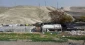 در پی تخریب روستای خان الاحمر:

سازمان ملل خواستار توقف تجاوزات اسرائیل علیه فلسطینیان شد