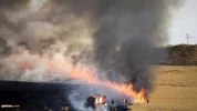 Israel Kurang Mampu Bertahan Diri dari Serangan Layang-layang Api Rakyat Palestina 6