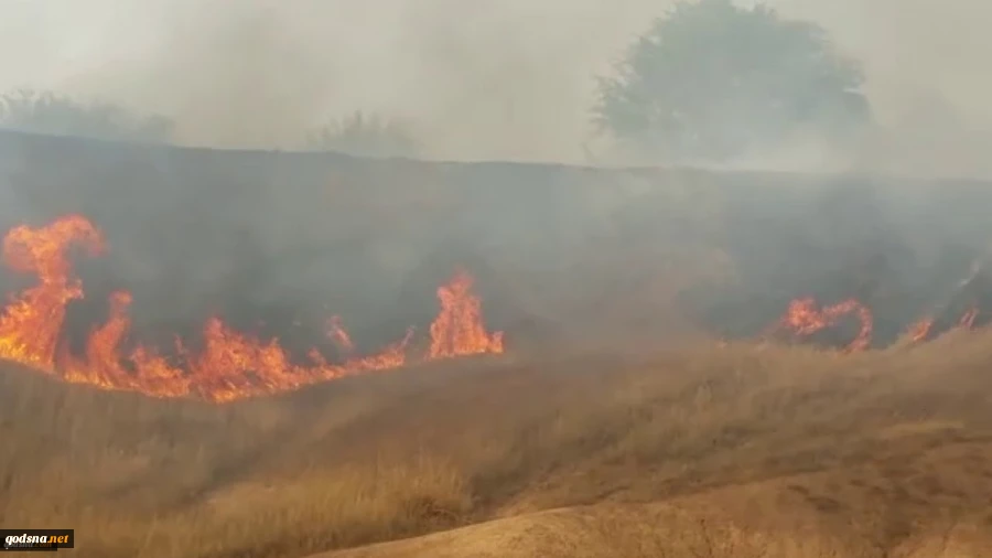 Israel Kurang Mampu Bertahan Diri dari Serangan Layang-layang Api Rakyat Palestina 11