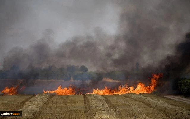 Israel Kurang Mampu Bertahan Diri dari Serangan Layang-layang Api Rakyat Palestina/ Album2 5