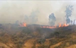 Israel Kurang Mampu Bertahan Diri dari Serangan Layang-layang Api Rakyat Palestina/ Album2 7
