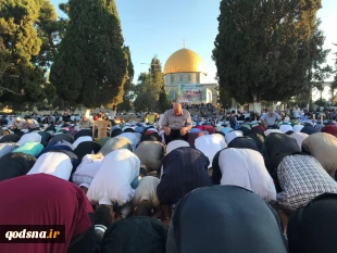 به مناسبت روز عید فطر:

غزه و فلسطین شاهد برگزاری پر شکوه عید فطر بود+عکس 2