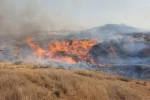 طالب حكومة الاحتلال باستهداف المواطنين في قطاع غزة

موقع عبري: 