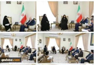 ظریف در دیدار جمعی از خانواده های ایرانی:  

 دستگیری های انجام شده در آمریکا به بهانه تحریم های ظالمانه و نامشروع غیر قانونی و سیاسی است