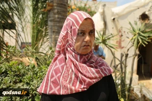 Art & Culture also victims to Israeli brutal policies 5