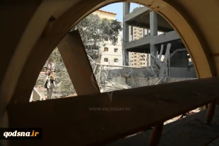 Art & Culture also victims to Israeli brutal policies 10