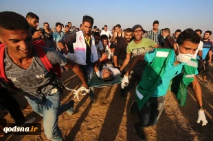منابع فلسطینی خبر دادند:

مجروحیت 189 فلسطینی در راهپیمایی ها بازگشت 8