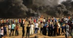 منها 50 بالرصاص الحي

وزارة الصحة الفلسطينية: 189إصابة جراء استهداف الاحتلال لمسيرة العودة
 2