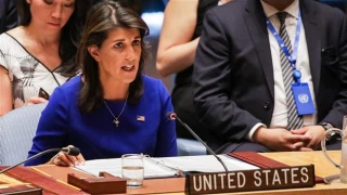 US envoy to UN questions Palestinian right of return to Israel-occupied homeland