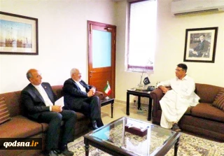 ظریف با وزیر اقتصاد پاکستان دیدار کرد