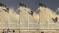 Pengunjuk Rasa Palestina Nekat Dekati Sniper Zionis