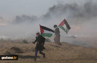 به دنبال شهادت 7 فلسطینی در شرق غزه:

حماس، جهاد اسلامی و الازهر جنایات اشغالگران را شدیداً محکوم کردند