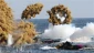 US resumes military drills with South Korea ahead of talks with North in New York