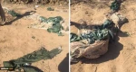 النظام السياسي الإسرائيلي نحو التفكك وثنائية قطبية

ماهي أهداف إسرائيل من عملية خانيونس التي قالت إسرائيل إن تفاصيلها ستظل «سرية»؟ 
 2