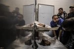 The Israeli new rape in Gaza and the martyrdom of three Palestinian children 6