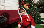 New Year celebrations in Palestine 10