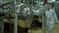 nuclear chief: Iran taking first steps to design 20% modern nuclear fuel