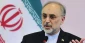 صالحی در گفتگوی ویژه خبری:

 قادریم سانتریفیوژهای IR4 و IR2M را تولید انبوه کنیم/گام های بلند در طراحی سوخت بوشهر