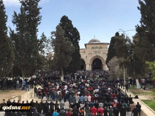 نمازجمعه این هفته مسجدالاقصی با حضور 50 هزار نمازگزار برگزار شد+تصویر