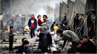 Plight of Palestine