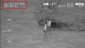 Pakistan ‘wards off Indian submarine’
