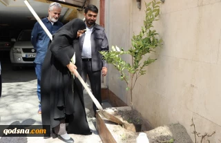 ان شاالله نهال پیروزی فلسطین را در خاک این کشور غرس کنیم

کاشت نهال از سوی یادگار حضرت امام(ره) در همبستگی با ملت فلسطین + تصاویر