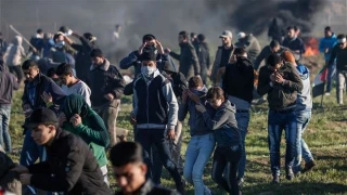 Israeli forces kill 1 Palestinian, wound 42 others in Gaza