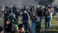 Israeli forces kill 1 Palestinian, wound 42 others in Gaza