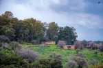 تصاویری زیبا از بلندیهای جولان اشغالی - سوریه 4
