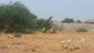 Over dozen Saudi mercenaries killed, injured in Yemeni army offensives