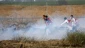 Israeli forces injure 60 Gazans, 15 of them children