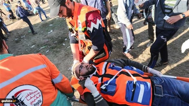 Israeli jets, soldiers kill 4 Palestinians in Gaza Strip
 2